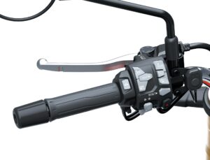 Heated Grip Set (Z900RS/SE)